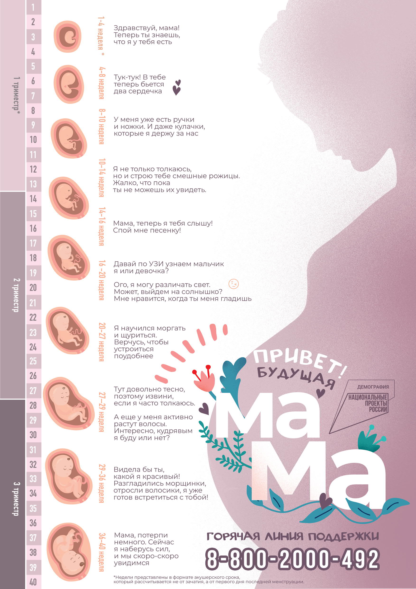 Секс во время беременности